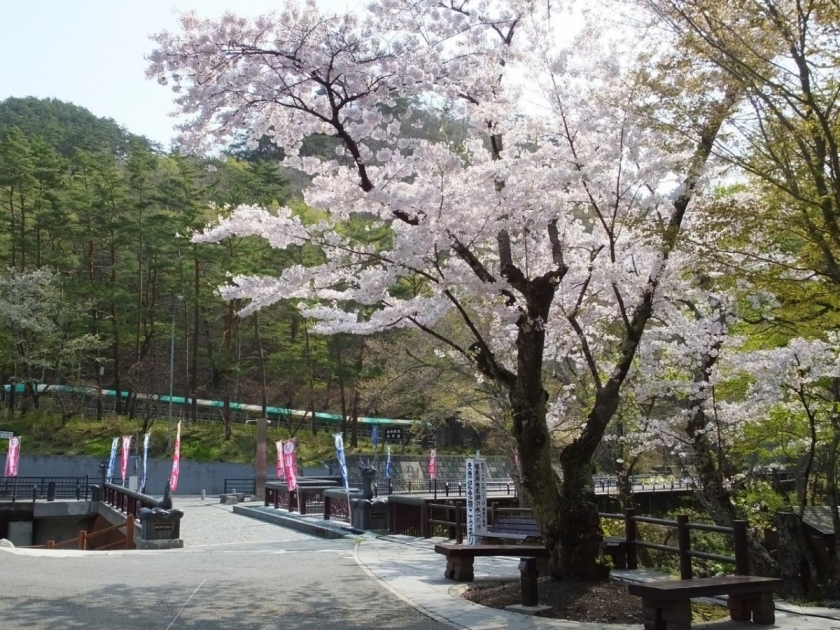 cd38296b86ac84719fb570d5a621a7