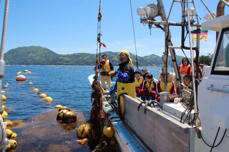 漁師さんの船で行く 山田湾＆養殖いかだ見学＜山田町＞ | さんりく旅し