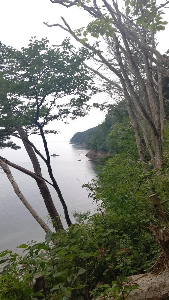 【中古】 みみらくの島/青簡舎/山下道代 登山入門（縦走）＞『熊野古道の名所を効率よく巡る！ 熊野三山