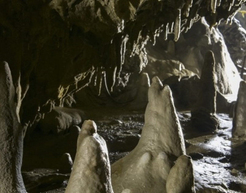 1d1bb1d01f64a2a242532e26ae2443