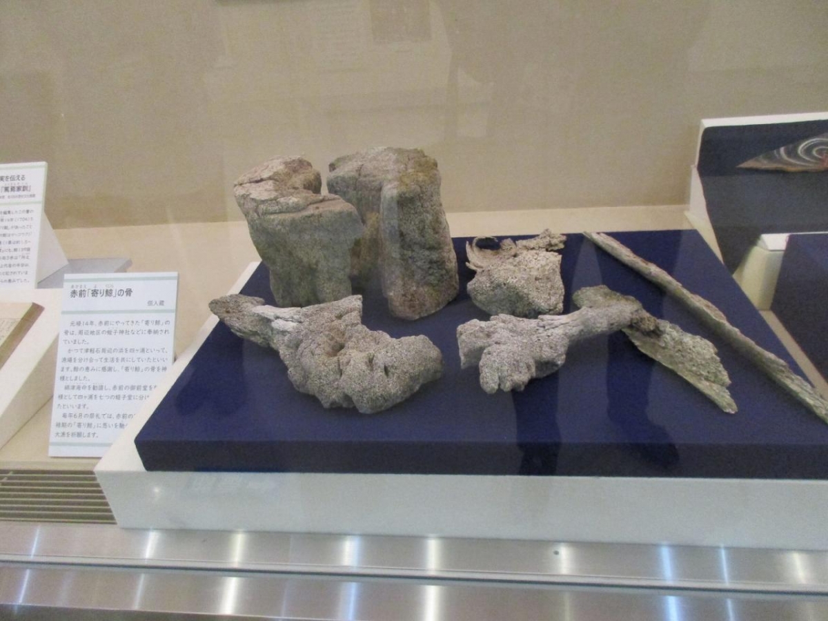 岩手おもしろ再発見: 岩手県立博物館ガイド | 岩手日報社出版部