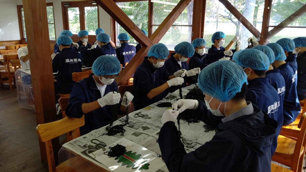 令和3年度盛岡第三高等学校第一学年 総合探究授業同行レポート☆宮古市